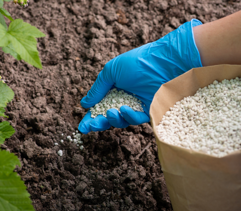 fertilizers and pests control